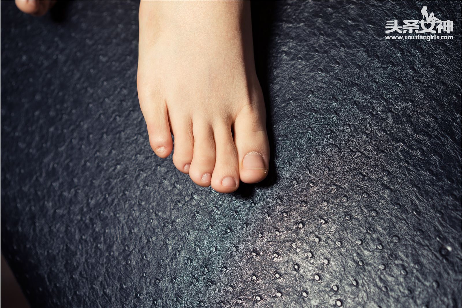 [Toutiaogirls]头条女神 2016.05.06 秦家大小姐 秦若兮